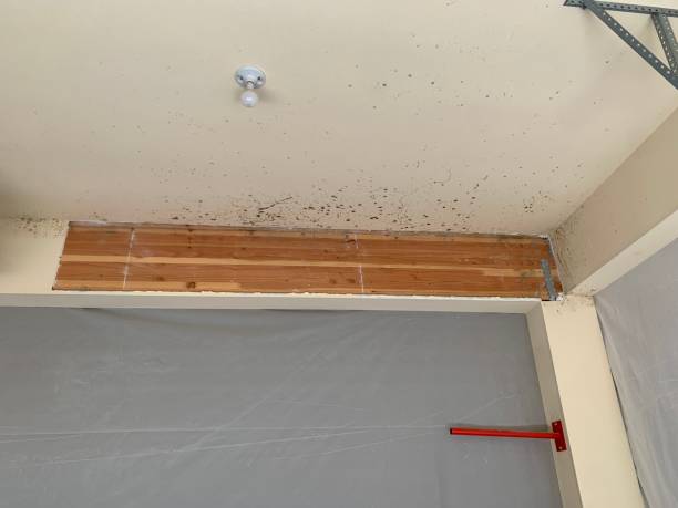 Best Residential Mold Inspection & Testing  in Cherry Valley, CA